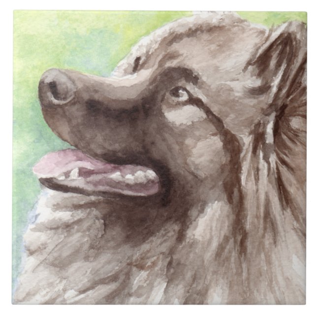 Azulejo Retrato en acuarela de Keeshond (Frente)