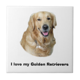 Azulejo Retrato fotográfico de perro de Golden Retriever