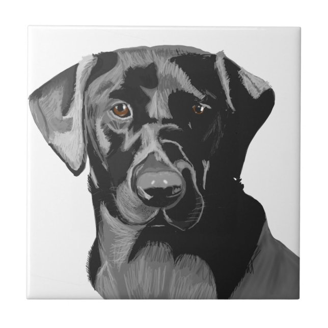Azulejo Retrato negro de labrador  (Frente)
