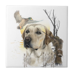 Azulejo Retriever de Labrador