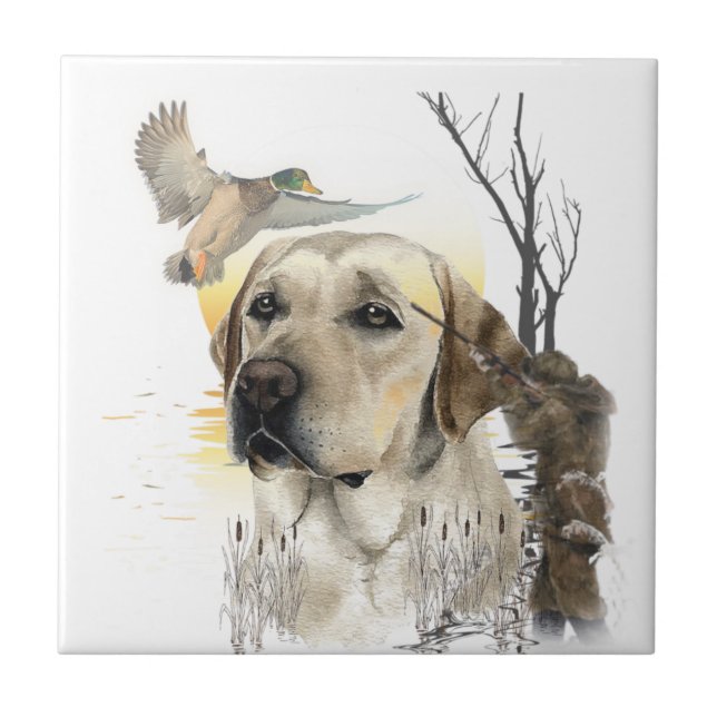 Azulejo Retriever de Labrador (Frente)