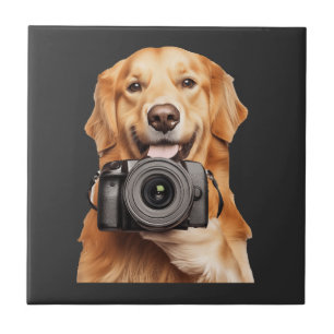 Azulejo Retriever Dorado