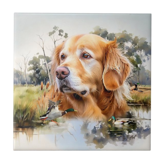 Azulejo Retriever Labrador (Frente)