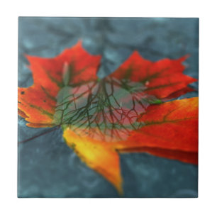 Azulejo Retroreflection Tile Decorativo / Trivet