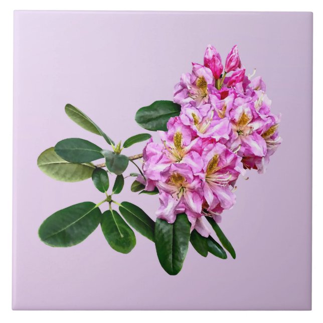 Azulejo Rhododendron Rosa Pálido (Frente)