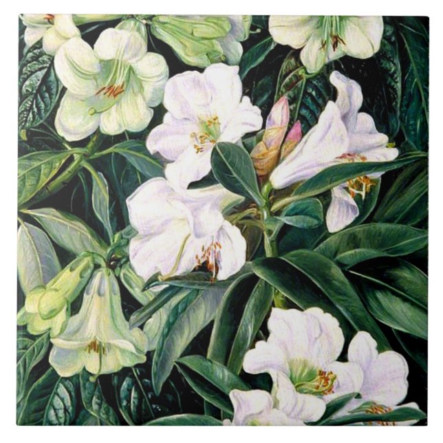 Azulejo Rhododendros del norte de India (Frente)