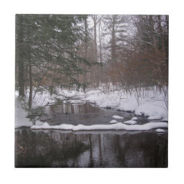 Azulejo 'Río Invierno'