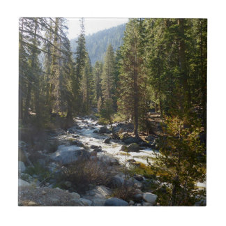 Azulejo Río Kaweah en el Parque Nacional Sequoia