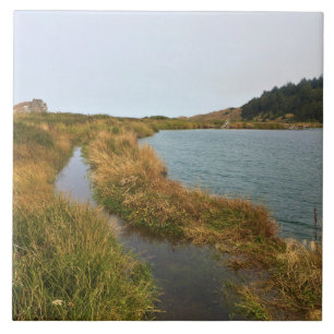 Azulejo Río Sixes, OR