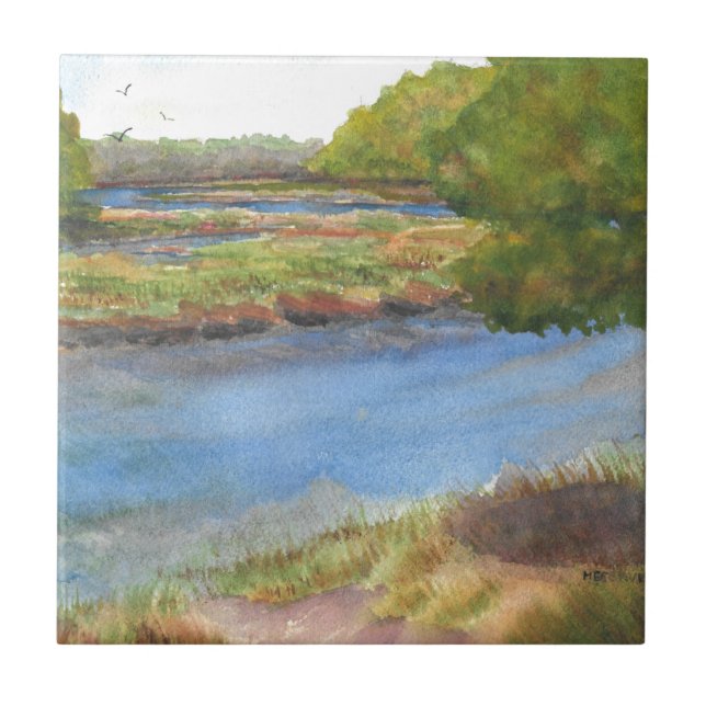 Azulejo río squamscott en newfields, 31 de julio de 2015 (Frente)