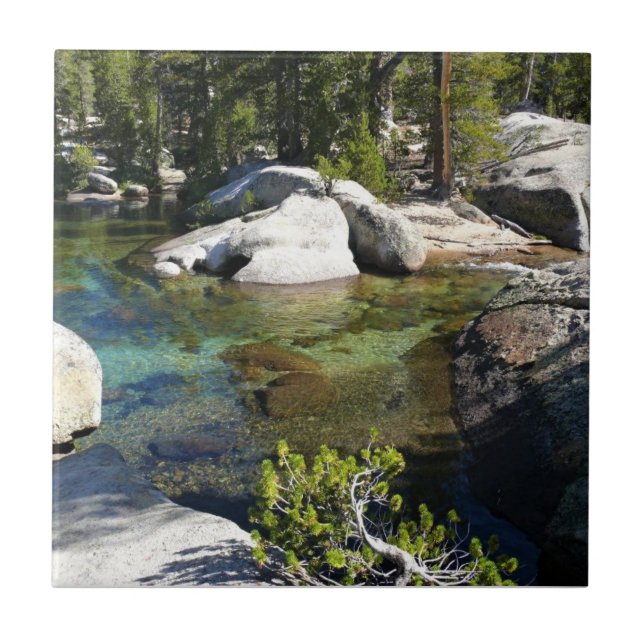 Azulejo Río Tuolumne en Tuolumne Meadows, Yosemite, CA (Frente)