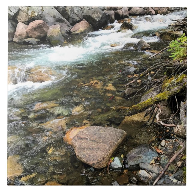 Azulejo Río Wallowa, OR (Frente)