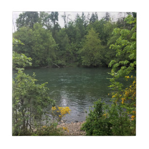 Azulejo Río Willamette, Parque Estatal Elijah Bristow, OR