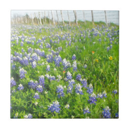 Azulejo Roadside Bluebonnets