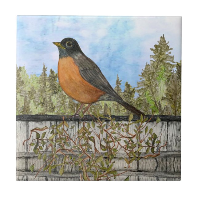 Azulejo Robin Ceramic Kitchen Tile (Frente)