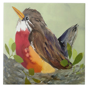 Azulejo Robin Ceramic Kitchen Tile