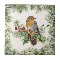 Robin, holly, Navidades de pino
