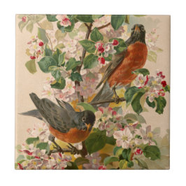 Azulejo Robins 1896