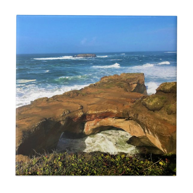 Azulejo Roca Otter en el Parque Estatal Devil's Punchbowl, (Frente)