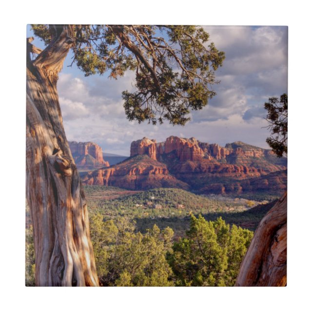 Azulejo Roca roja el | Sedona Arizona (Frente)