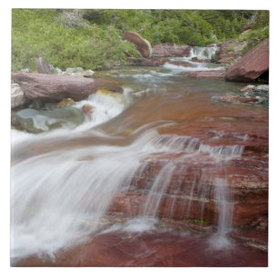 Azulejo Roca roja en Baring Creek en Glacier National