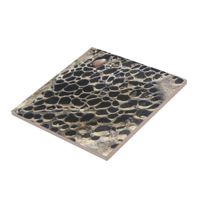 Azulejo Rocas de guijarros bucosos de playa (Lado)
