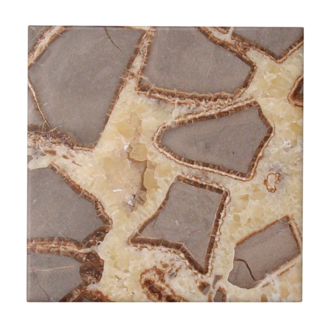 Azulejo Rocas interesantes en la sección transversal de nó (Frente)