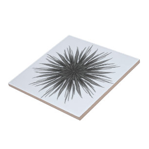 Azulejo Rociada circular negra y gris de hojas plumosas