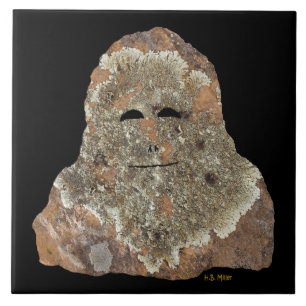 Azulejo Rock Sasquatch