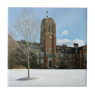 Azulejo Rockwell en invierno en Grove City College