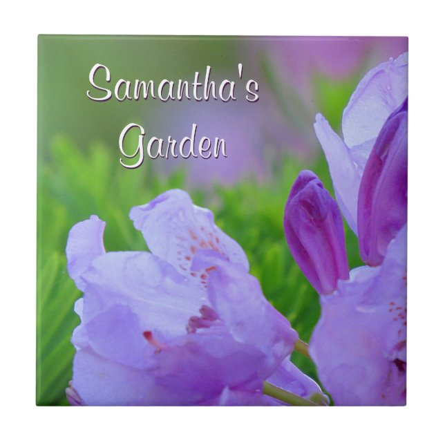 Azulejo Rododendro después del jardín personalizado lluvia (Frente)