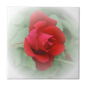 Azulejo Rojo