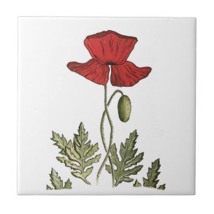 Azulejo Rojo