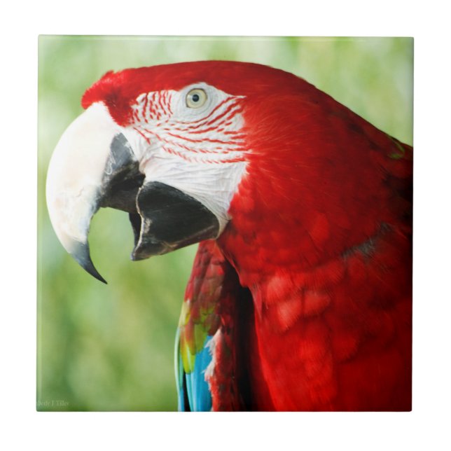 Azulejo Rojo brillante (Frente)