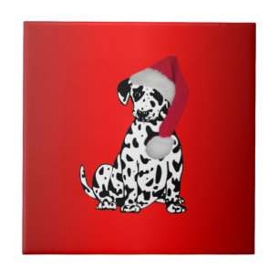 Azulejo Rojo dálmata