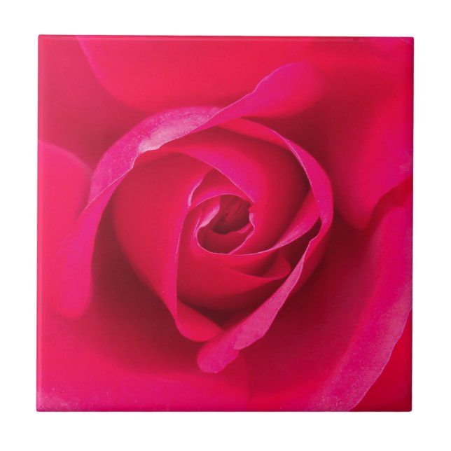 Azulejo Rojo Romántico Rosa Rosada v2 (Frente)
