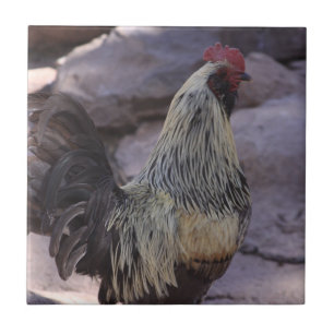 Azulejo Rooster Ceramic Tile