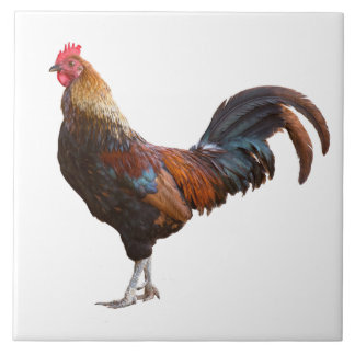 Azulejo Rooster Kitchen Decoración agregar texto en color