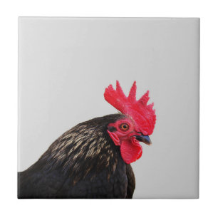 Azulejo Rooster negro