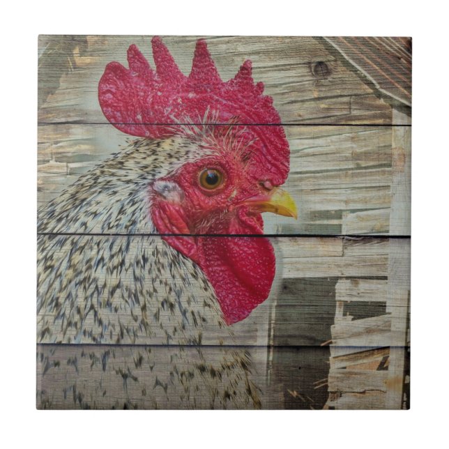 Azulejo Rooster Rustic Chicken Coop Barn Board (Frente)
