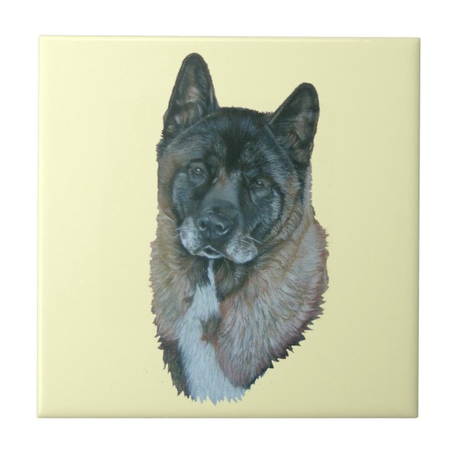 Azulejo Ropa negra americana akita perro retrato (Frente)