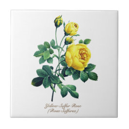 Azulejo Rosa Amarilla Botánica Elegante