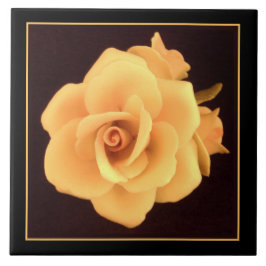 Azulejo Rosa Amarilla, Foto de 2004.