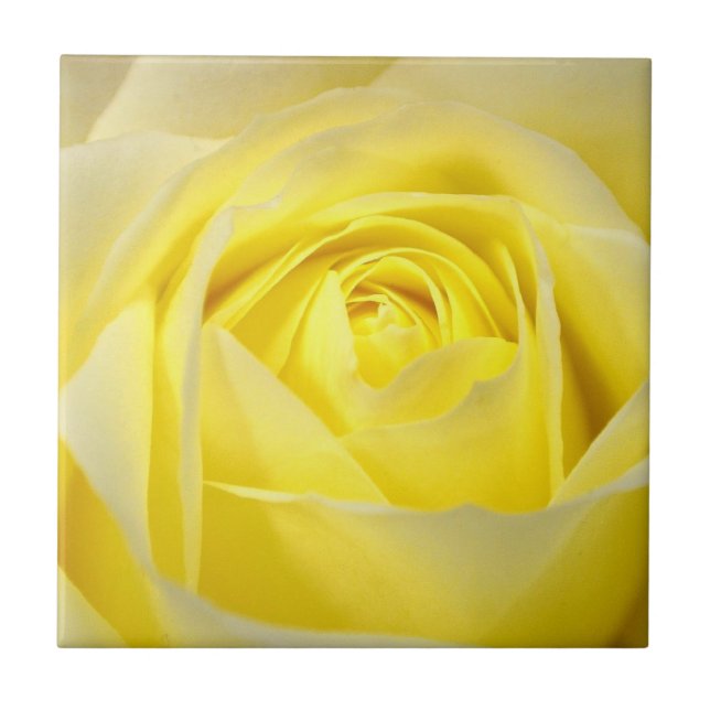 Azulejo Rosa amarillo (Frente)