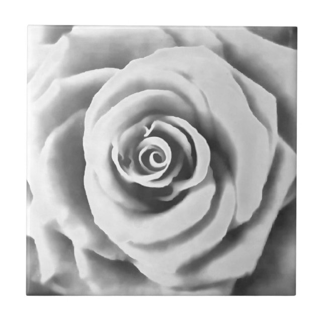 Azulejo Rosa blanca grande artística (Frente)