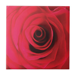 Azulejo Rosa de color rojo caliente