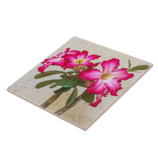 Azulejo Rosa Desierto Flores Cerámica Tile