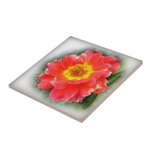 Azulejo Rosa en otoño (Lado)