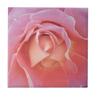 Azulejo Rosa lúgubre