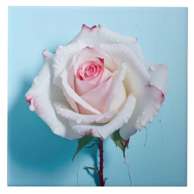 Azulejo Rosa mojado blanco sobre fondo azul turquesa (Frente)